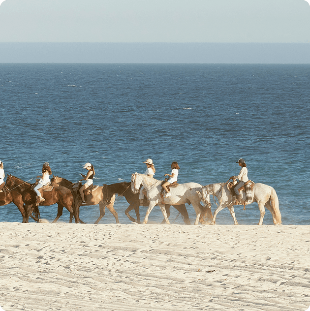 Beach Horseback Riding